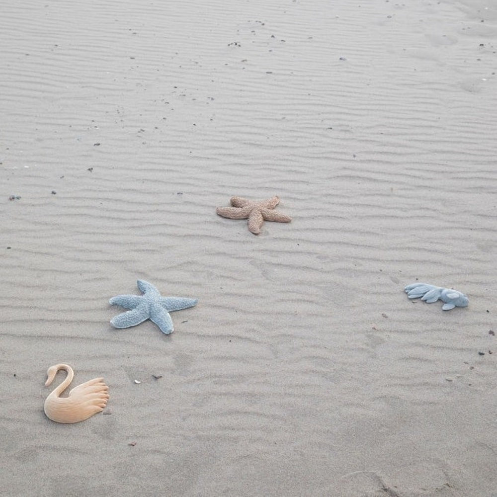 海星壁飾
