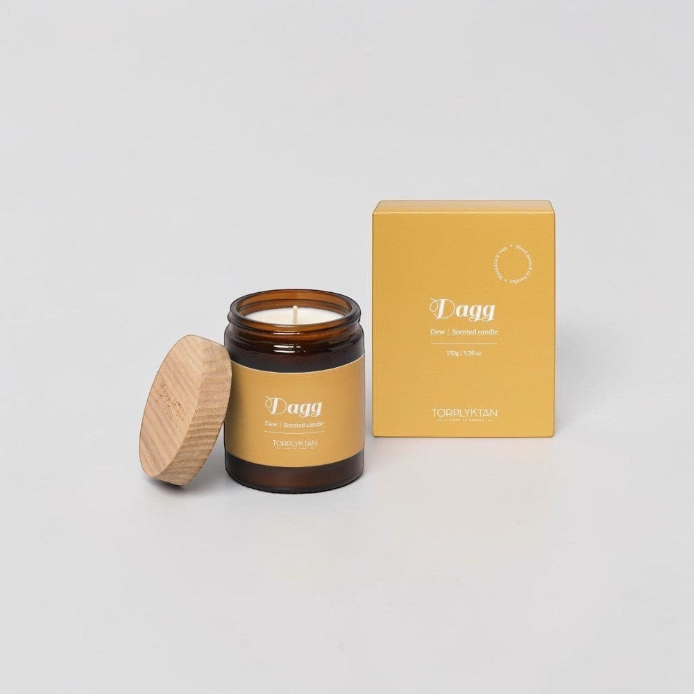 aelgmark Dew scented candle in amber glass jar with wooden lid, pine needle, grapefruit, and lemon scent