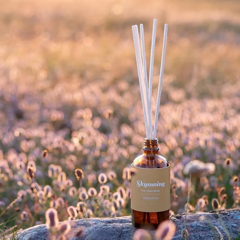 aelgmark amber glass reed diffuser with white reeds, "Skymning Dusk" scent with almond, vanilla, and coconut notes.