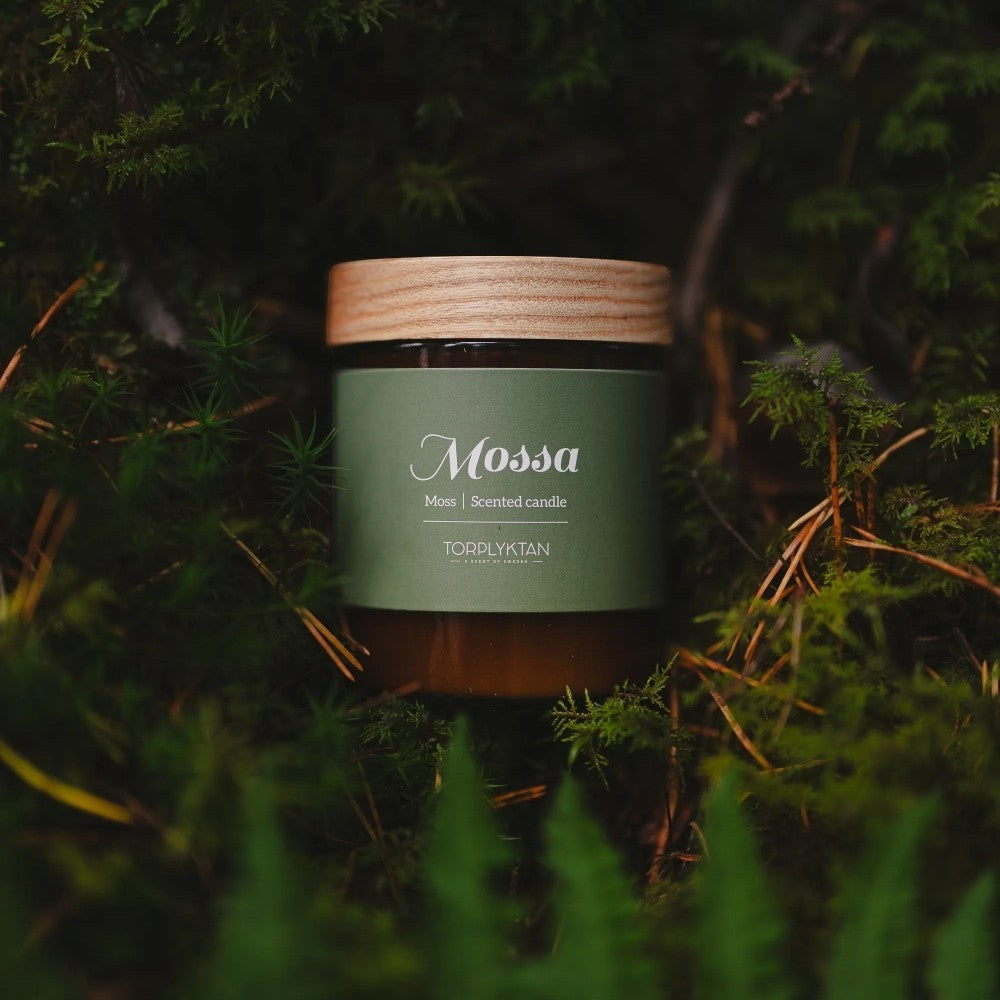 aelgmark Mossa moss scented candle in glass jar with wooden lid, surrounded by forest moss and pine needles.