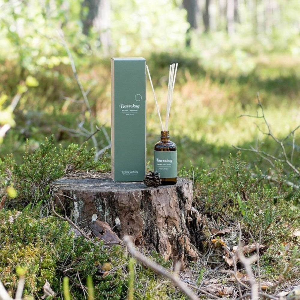 aelgmark Northern Woods Pine Forest reed diffuser with pine cone on a tree stump in a forest setting.