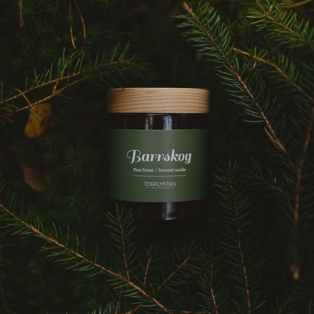 aelgmark Pine Forest scented candle in amber glass jar with wooden lid, surrounded by pine needles.