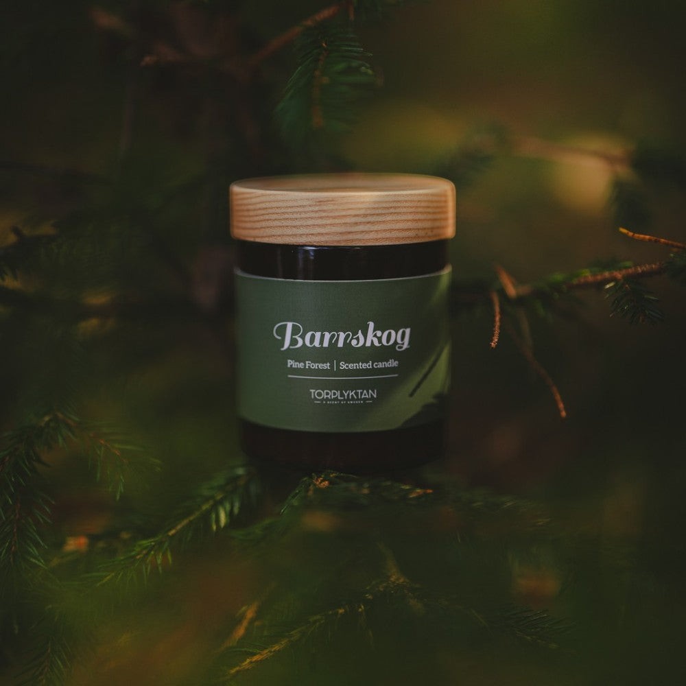 aelgmark Pine Forest scented candle in a dark glass jar with a wooden lid, nestled among pine branches.